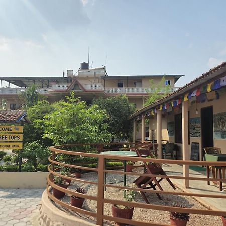 Hotel Tree Tops Sauraha Exterior foto