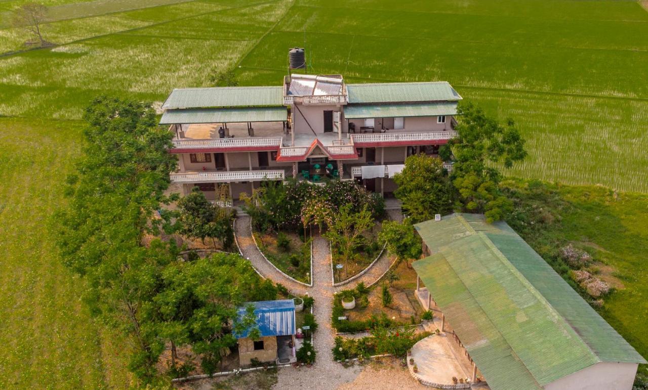Hotel Tree Tops Sauraha Exterior foto