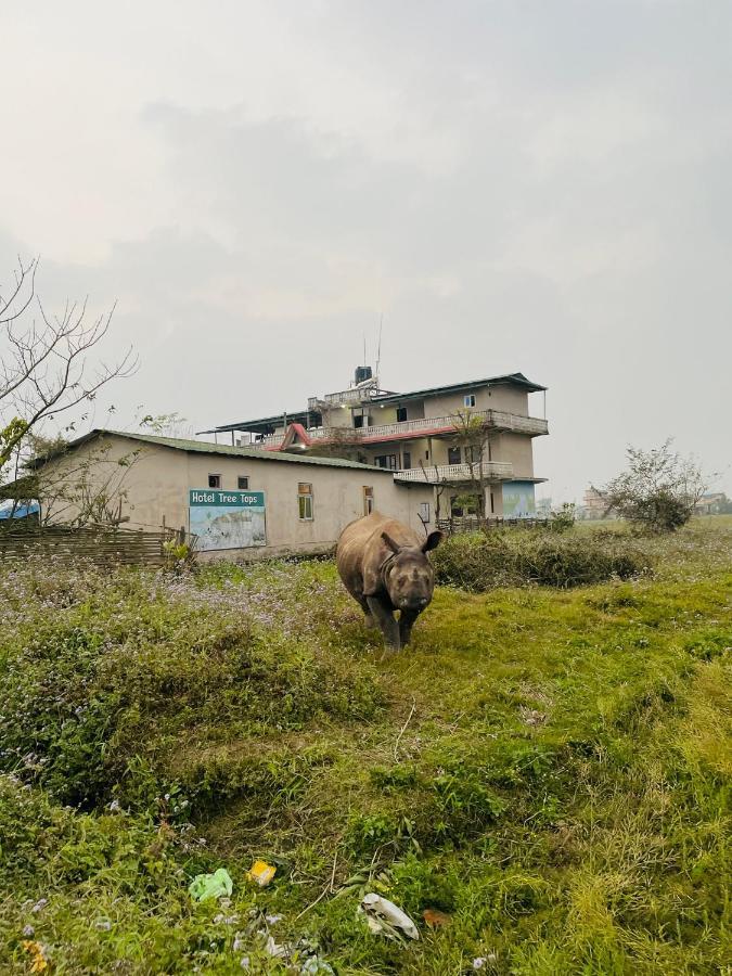 Hotel Tree Tops Sauraha Exterior foto