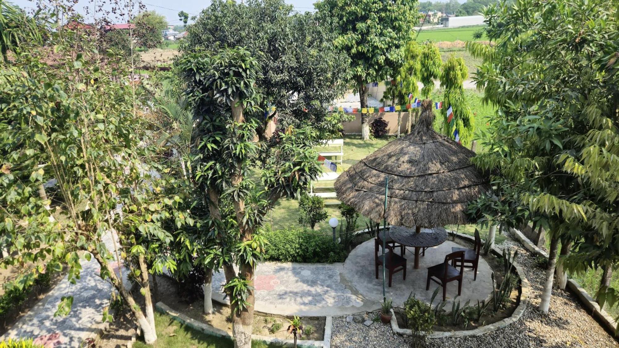 Hotel Tree Tops Sauraha Exterior foto