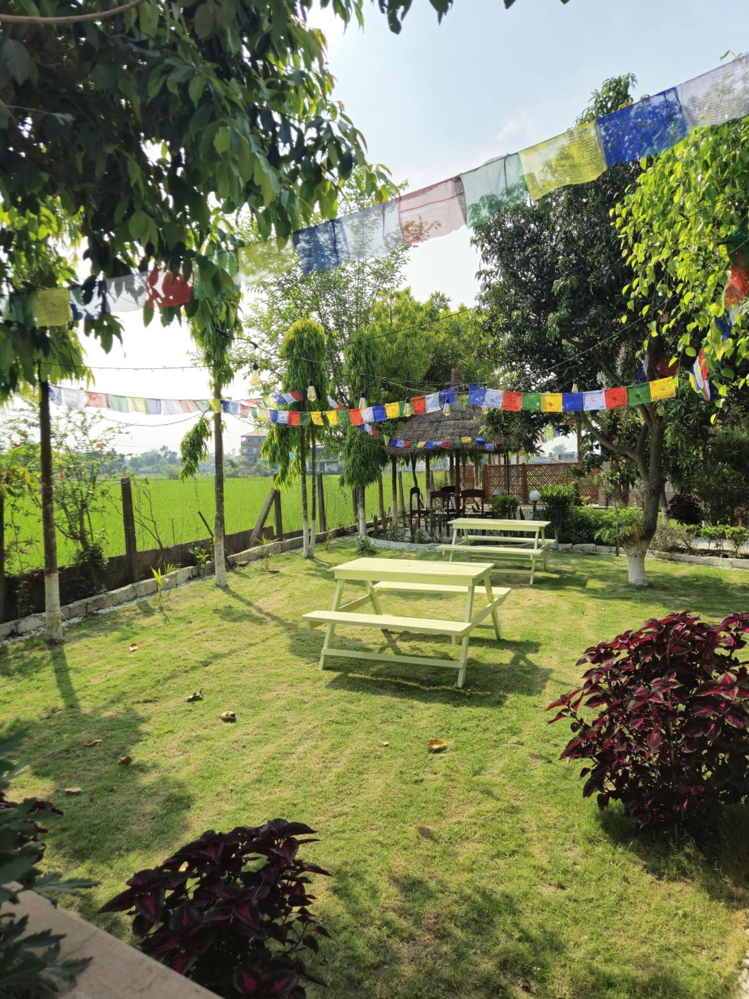 Hotel Tree Tops Sauraha Exterior foto