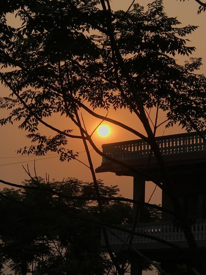 Hotel Tree Tops Sauraha Exterior foto