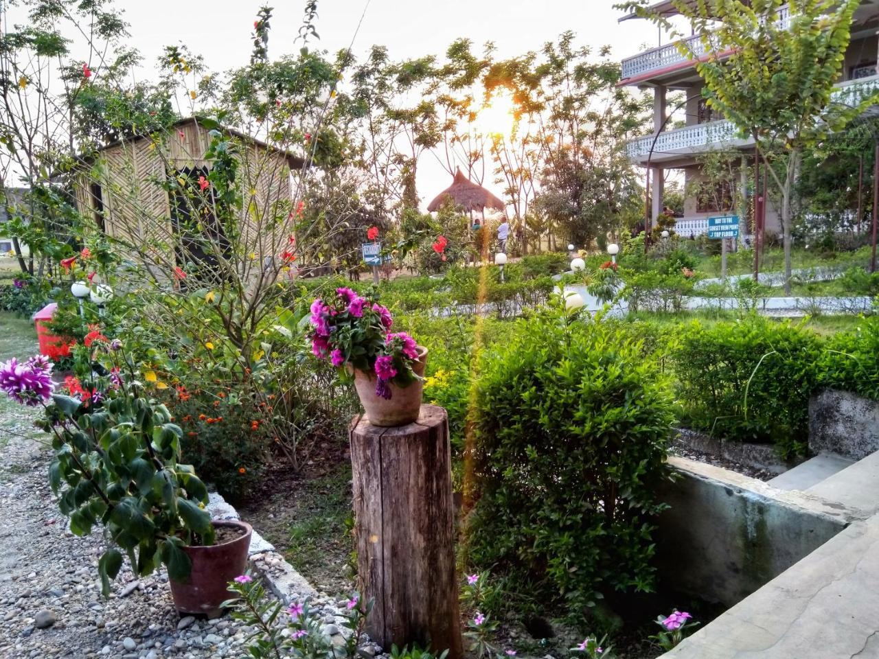 Hotel Tree Tops Sauraha Exterior foto